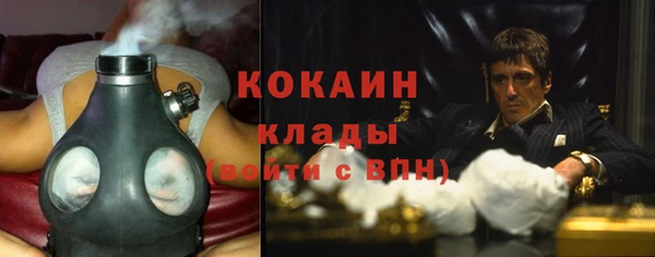 прущие грибы Липки