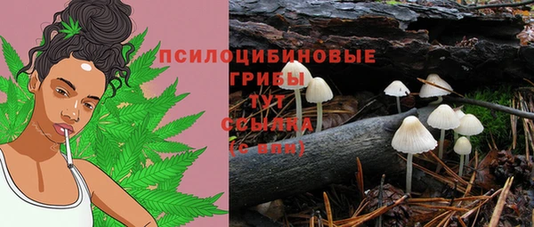 таблы Лиски