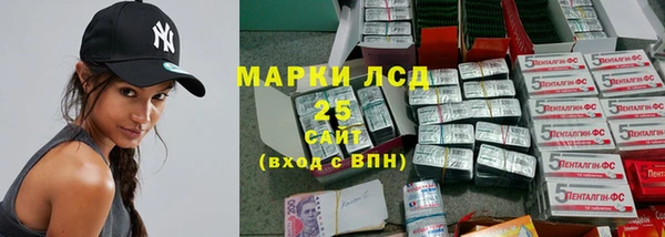 прущие грибы Липки