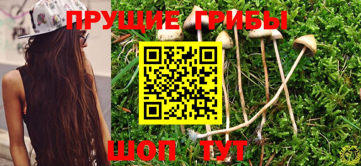 Галлюциногенные грибы Cubensis Нижневартовск