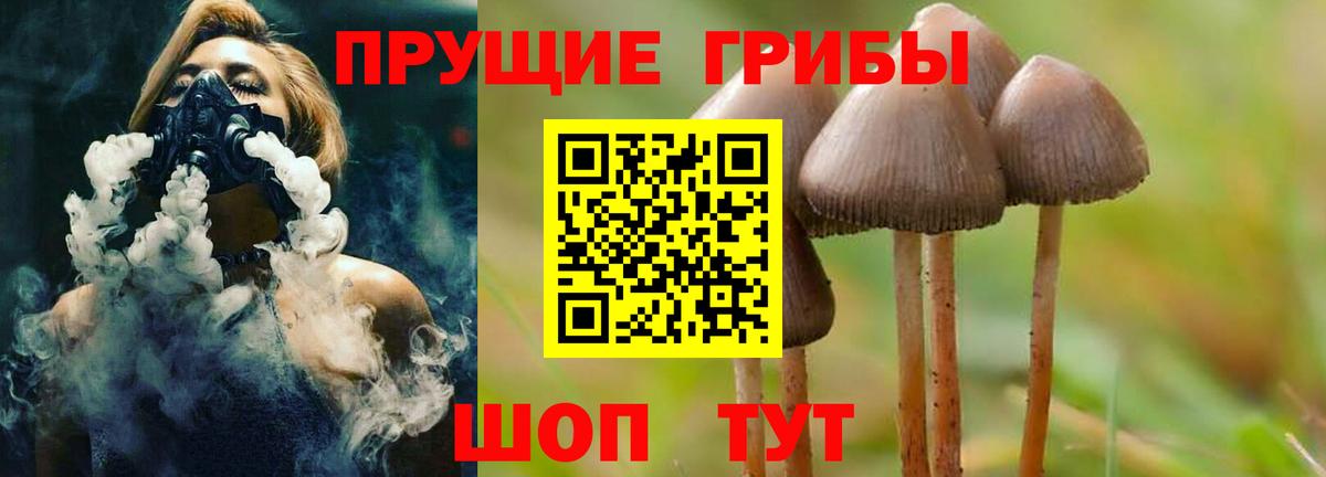 Галлюциногенные грибы MAGIC MUSHROOMS  Вход с VPN  Нижневартовск 